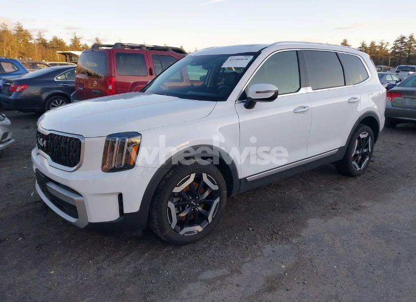 Photo 2 of 2024 Kia Telluride EX (VIN 5XYP3DGC2RG467926)