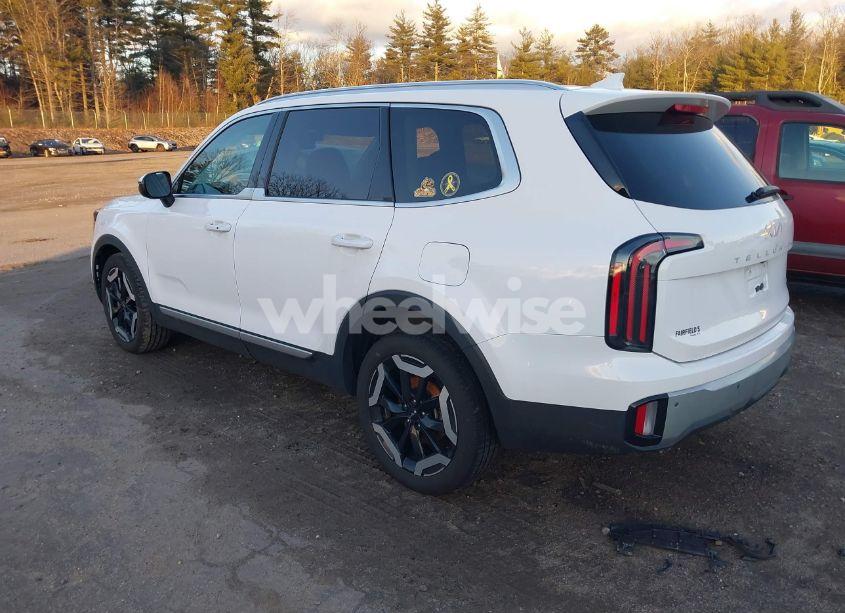 Photo 3 of 2024 Kia Telluride EX (VIN 5XYP3DGC2RG467926)