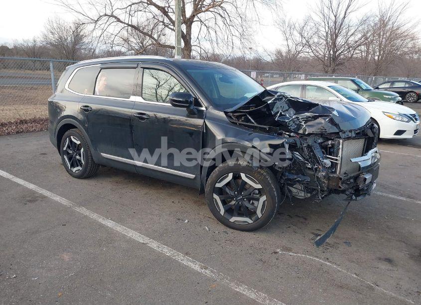 2024 Kia Telluride EX (VIN 5XYP3DGC2RG508331) main photo