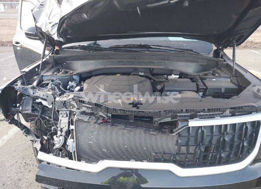 Photo 10 of 2024 Kia Telluride EX (VIN 5XYP3DGC2RG508331)