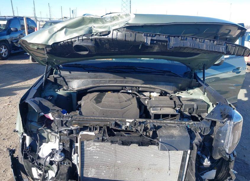 Photo 10 of 2024 Kia Telluride EX X-LINE (VIN 5XYP3DGC2RG519670)