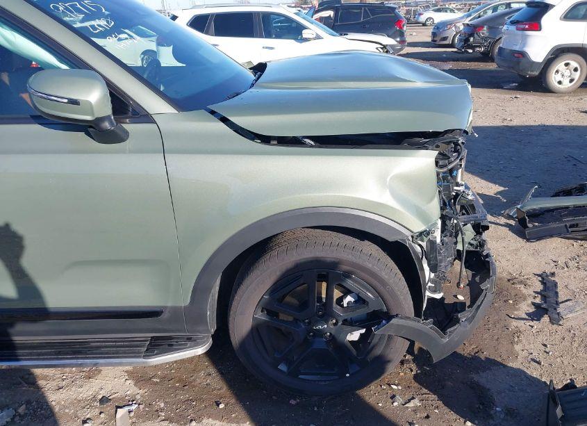 Photo 17 of 2024 Kia Telluride EX X-LINE (VIN 5XYP3DGC2RG519670)
