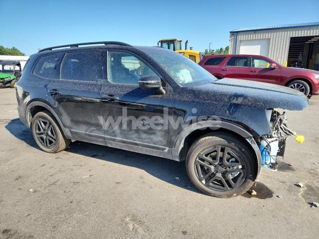Photo 12 of 2025 KIA TELLURIDE EX (VIN 5XYP3DGC2SG651737)