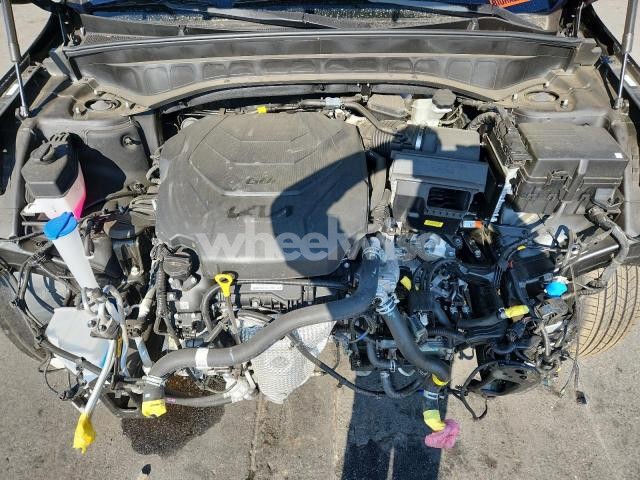 Photo 3 of 2025 KIA TELLURIDE EX (VIN 5XYP3DGC2SG651737)