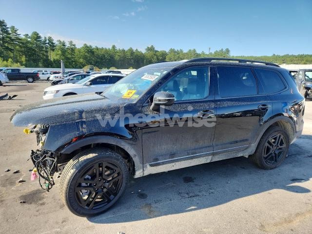 Photo 5 of 2025 KIA TELLURIDE EX (VIN 5XYP3DGC2SG651737)
