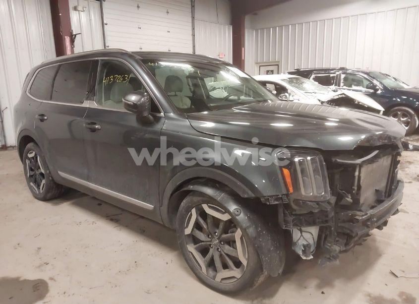 2024 Kia Telluride EX (VIN 5XYP3DGC3RG429721) main photo