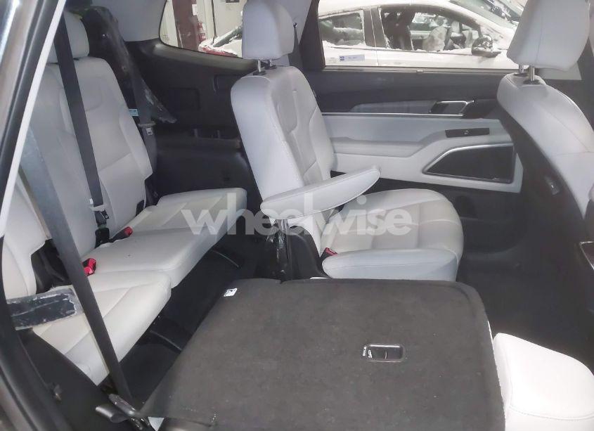Photo 8 of 2024 Kia Telluride EX (VIN 5XYP3DGC3RG429721)