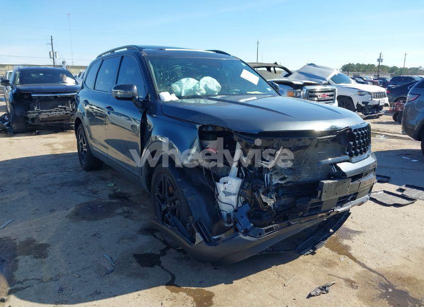 2024 Kia Telluride EX X-LINE (VIN 5XYP3DGC3RG519595) main photo