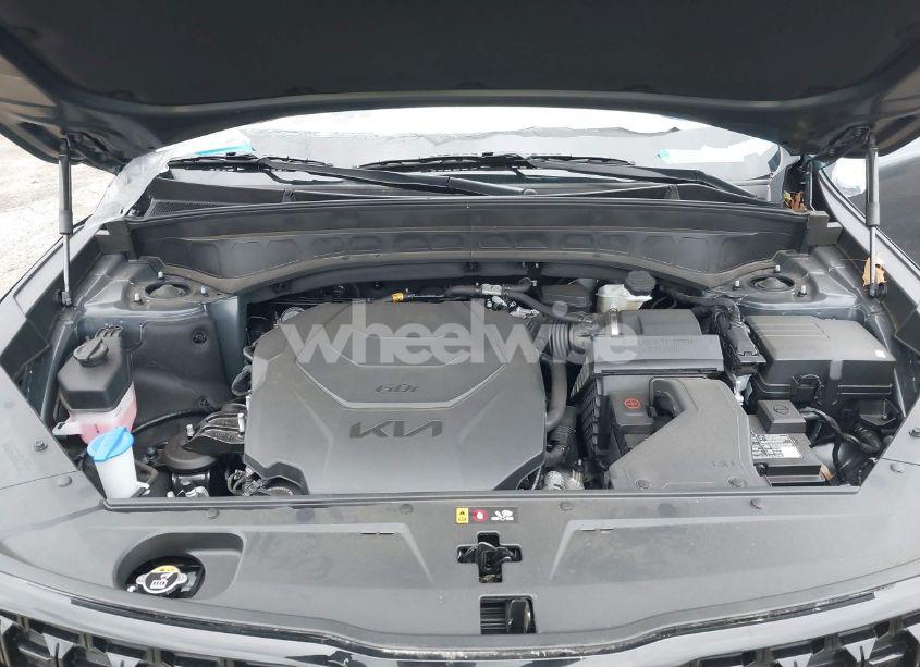 Photo 10 of 2024 Kia Telluride EX X-LINE (VIN 5XYP3DGC4RG514387)