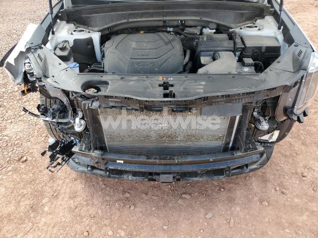 2024 KIA TELLURIDE EX (VIN 5XYP3DGC4RG522425) main photo