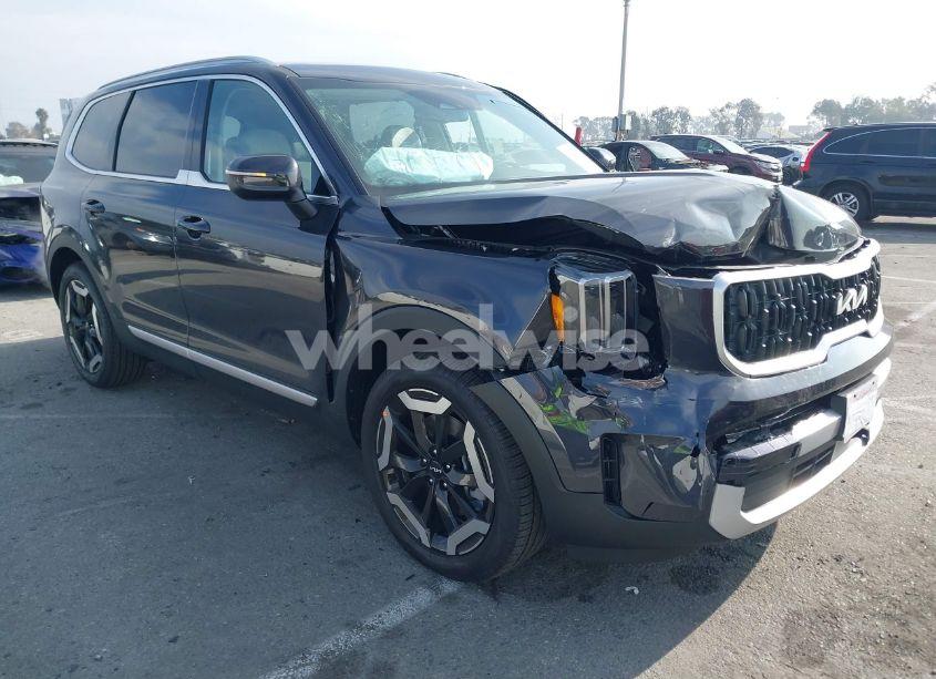 2025 Kia Telluride EX (VIN 5XYP3DGC5SG585183) main photo