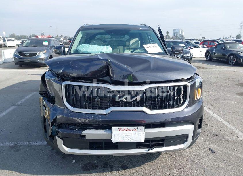 Photo 13 of 2025 Kia Telluride EX (VIN 5XYP3DGC5SG585183)