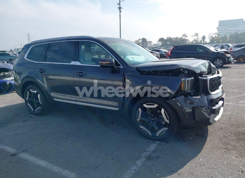 Photo 14 of 2025 Kia Telluride EX (VIN 5XYP3DGC5SG585183)