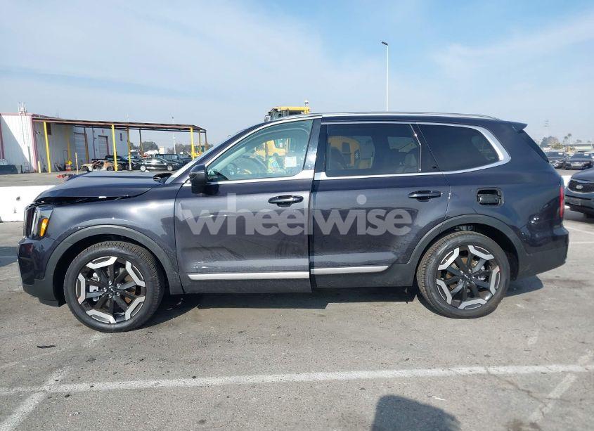 Photo 15 of 2025 Kia Telluride EX (VIN 5XYP3DGC5SG585183)