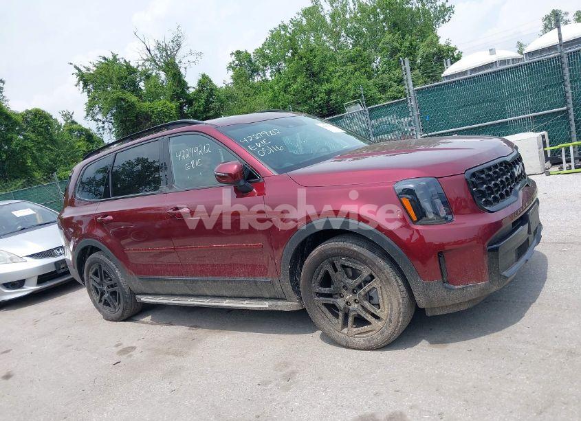 Photo 13 of 2024 Kia Telluride EX X-LINE (VIN 5XYP3DGC6RG435643)