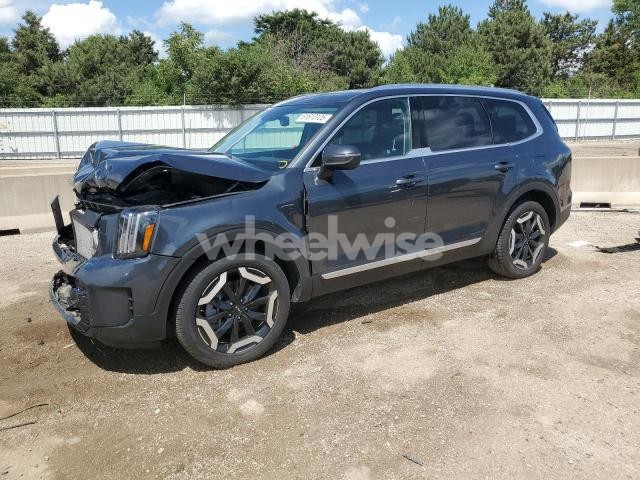 Photo 12 of 2024 KIA TELLURIDE EX (VIN 5XYP3DGC6RG507036)