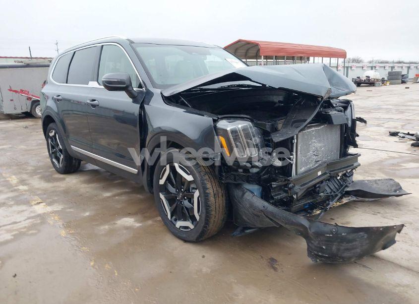 2024 Kia Telluride EX (VIN 5XYP3DGC7RG511872) main photo