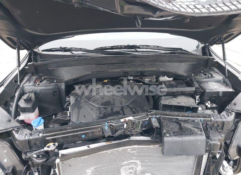 Photo 10 of 2024 Kia Telluride EX (VIN 5XYP3DGC7RG511872)