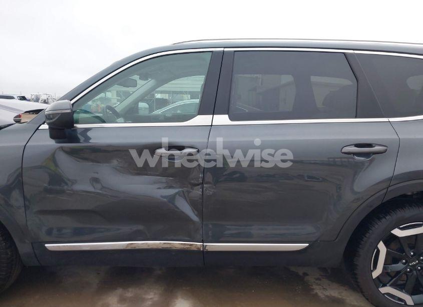 Photo 15 of 2024 Kia Telluride EX (VIN 5XYP3DGC7RG511872)