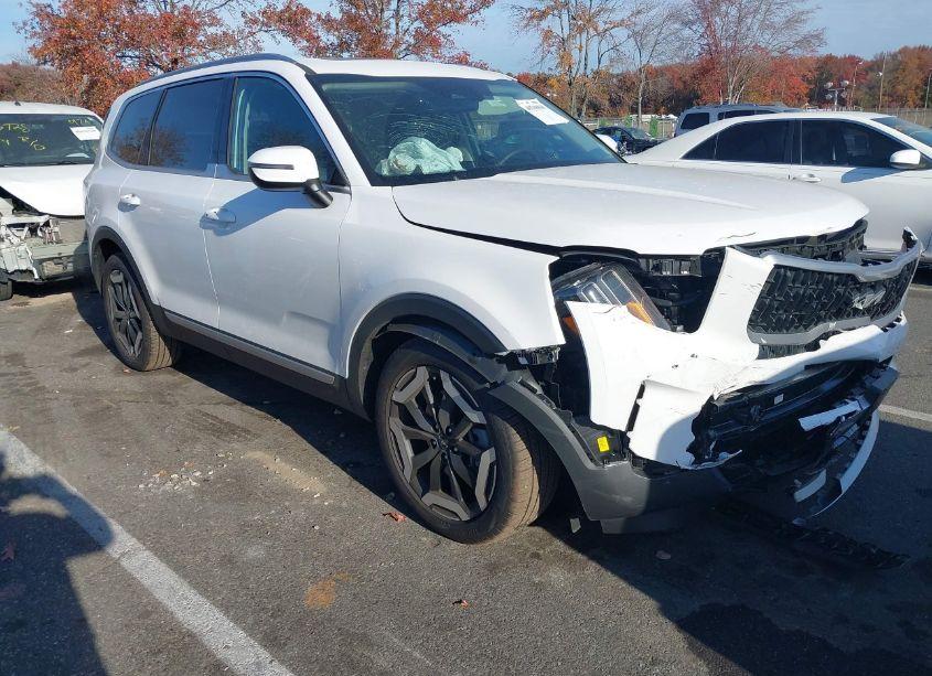 2024 Kia Telluride EX (VIN 5XYP3DGC7RG544757) main photo