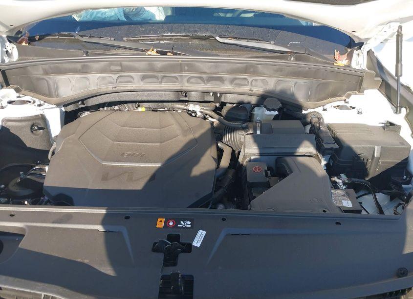 Photo 10 of 2024 Kia Telluride EX (VIN 5XYP3DGC7RG544757)