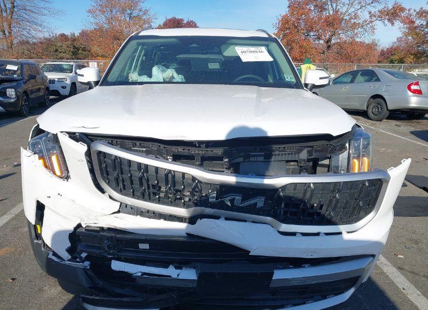 Photo 12 of 2024 Kia Telluride EX (VIN 5XYP3DGC7RG544757)