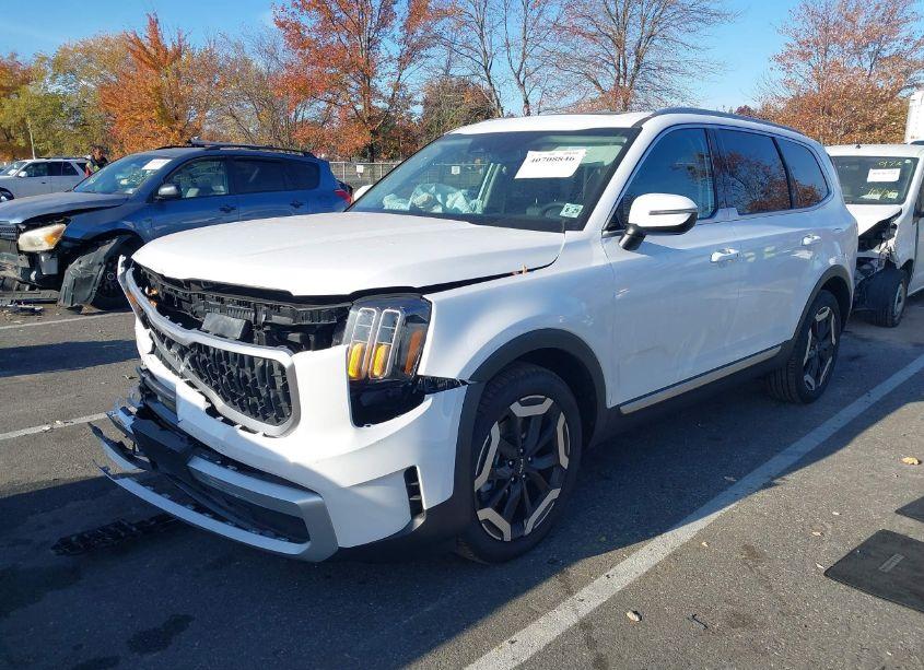 Photo 2 of 2024 Kia Telluride EX (VIN 5XYP3DGC7RG544757)