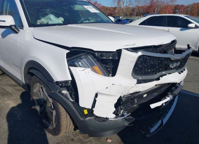 Photo 6 of 2024 Kia Telluride EX (VIN 5XYP3DGC7RG544757)