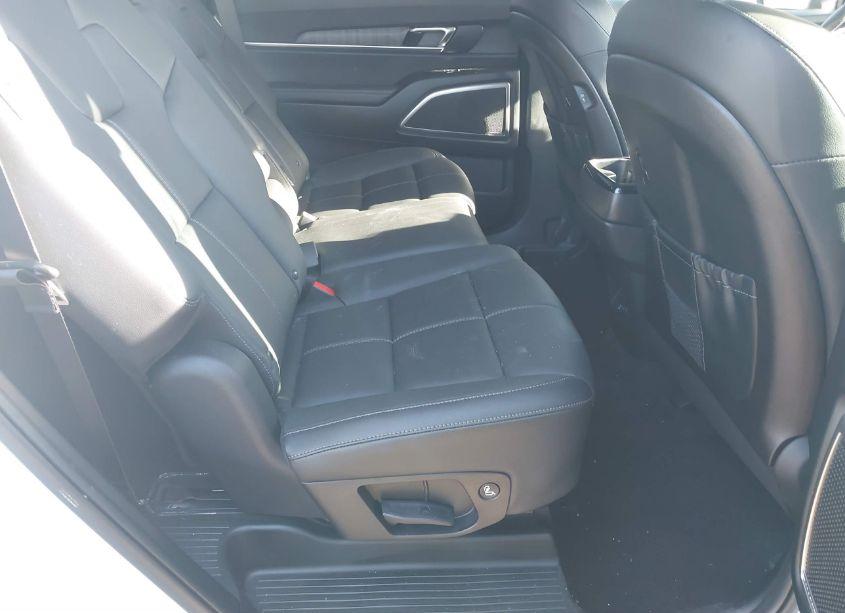 Photo 8 of 2024 Kia Telluride EX (VIN 5XYP3DGC7RG544757)
