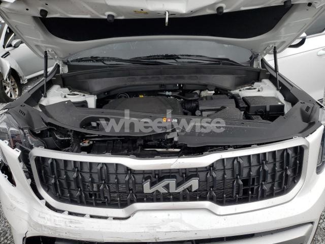 Photo 13 of 2025 KIA TELLURIDE EX (VIN 5XYP3DGC7SG605269)