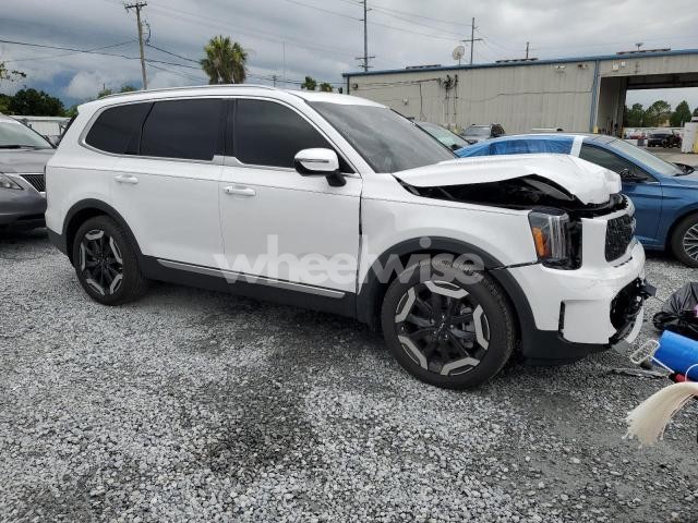 Photo 2 of 2025 KIA TELLURIDE EX (VIN 5XYP3DGC7SG605269)