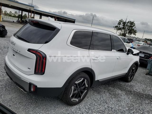 Photo 9 of 2025 KIA TELLURIDE EX (VIN 5XYP3DGC7SG605269)