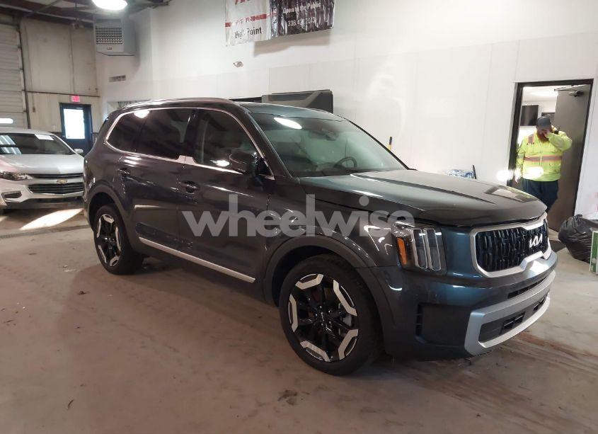2024 Kia Telluride EX (VIN 5XYP3DGC8RG476565) main photo