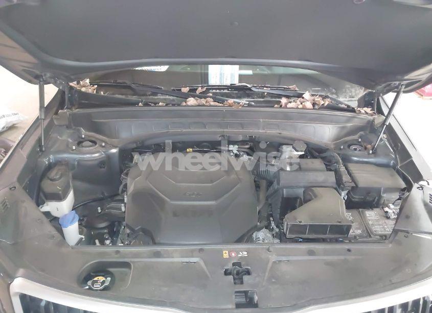 Photo 10 of 2024 Kia Telluride EX (VIN 5XYP3DGC8RG476565)