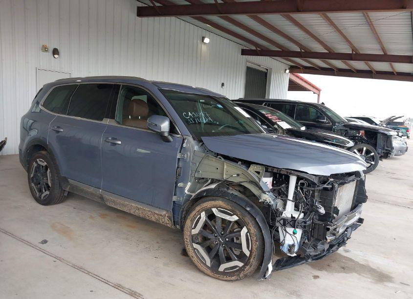 2023 Kia Telluride EX (VIN 5XYP3DGC9PG333606) main photo