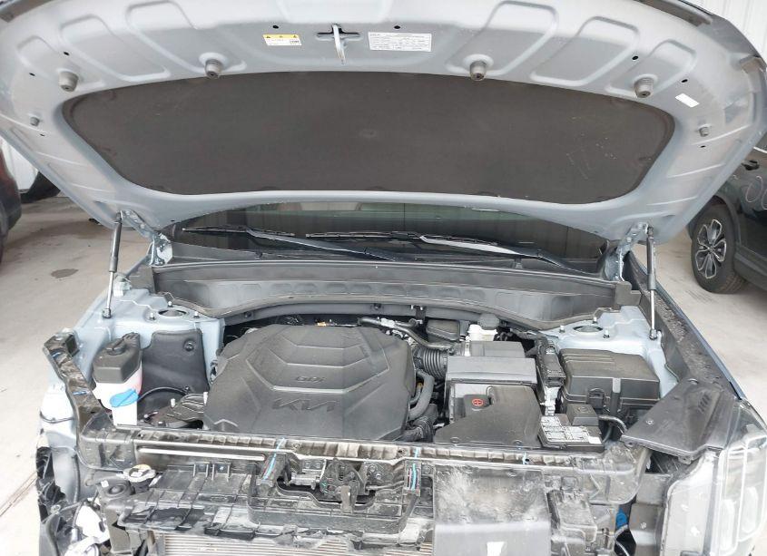 Photo 10 of 2023 Kia Telluride EX (VIN 5XYP3DGC9PG333606)