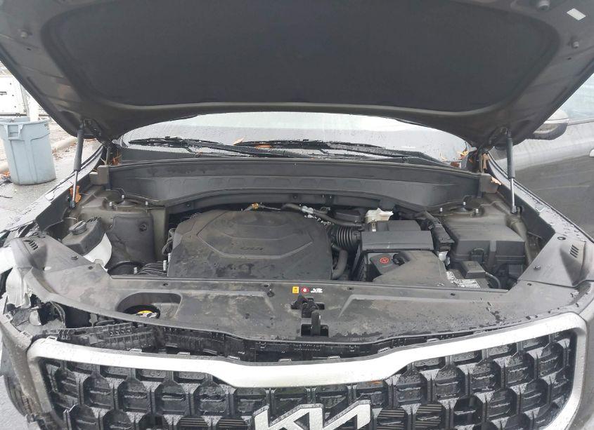Photo 10 of 2023 Kia Telluride EX X-LINE (VIN 5XYP3DGC9PG349711)