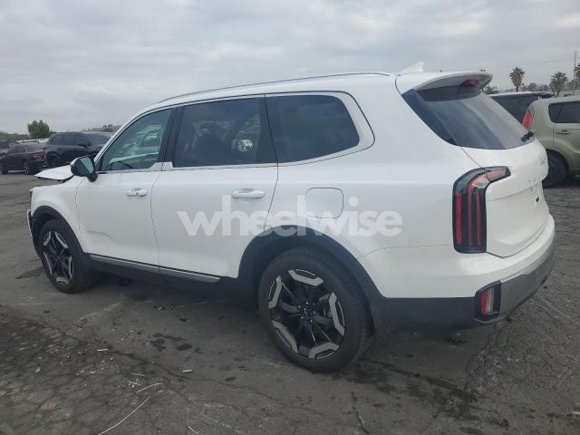 2025 KIA TELLURIDE EX (VIN 5XYP3DGC9SG592671) main photo