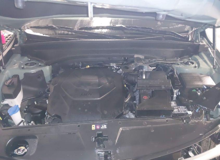 Photo 10 of 2023 Kia Telluride EX X-LINE (VIN 5XYP3DGCXPG404070)