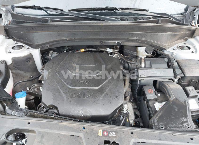 Photo 10 of 2024 Kia Telluride EX X-LINE (VIN 5XYP3DGCXRG491519)