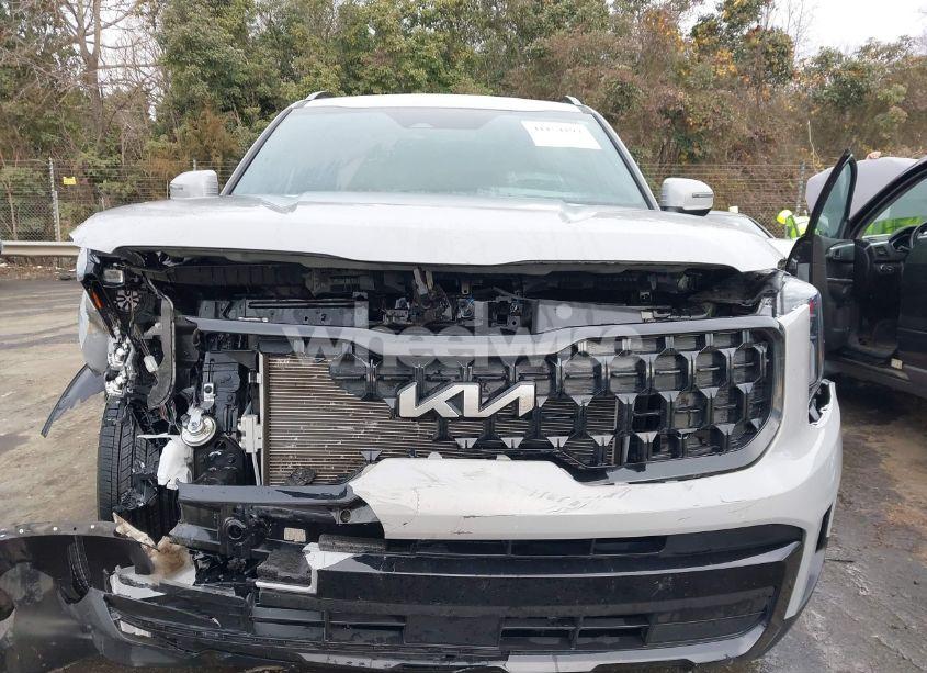 Photo 12 of 2024 Kia Telluride EX X-LINE (VIN 5XYP3DGCXRG491519)