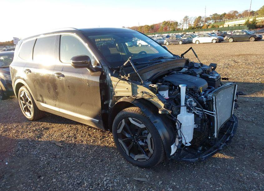 2024 Kia Telluride EX (VIN 5XYP3DGCXRG523515) main photo