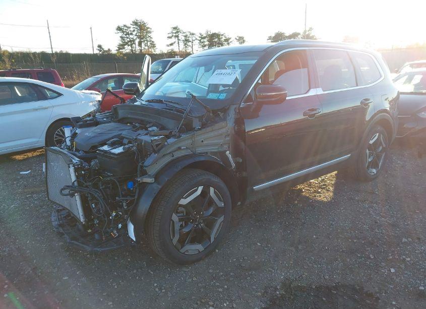 Photo 2 of 2024 Kia Telluride EX (VIN 5XYP3DGCXRG523515)