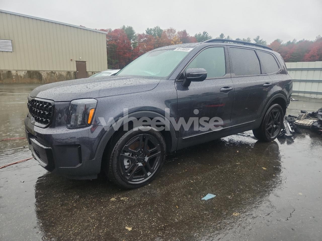 2025 KIA TELLURIDE EX (VIN 5XYP3DGCXSG627962) main photo