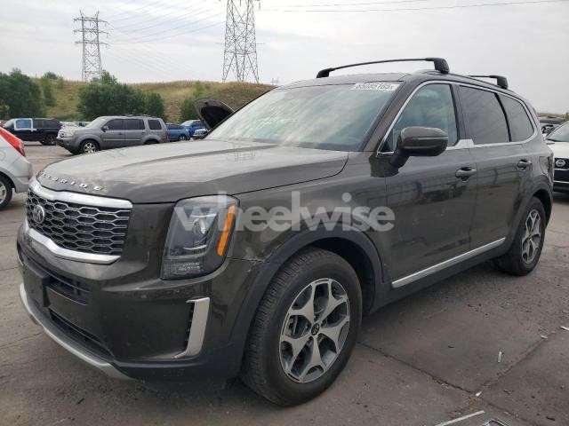 Photo 12 of 2020 KIA TELLURIDE EX (VIN 5XYP3DHC2LG018526)