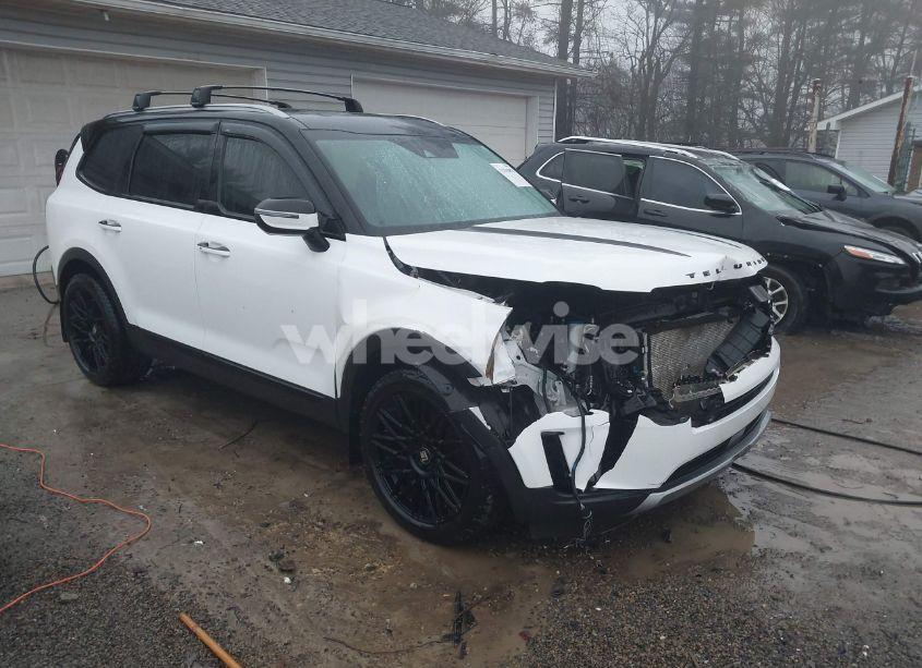 2020 Kia Telluride EX (VIN 5XYP3DHC2LG039778) main photo