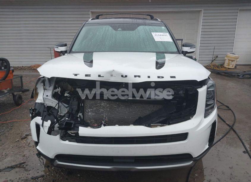 Photo 12 of 2020 Kia Telluride EX (VIN 5XYP3DHC2LG039778)