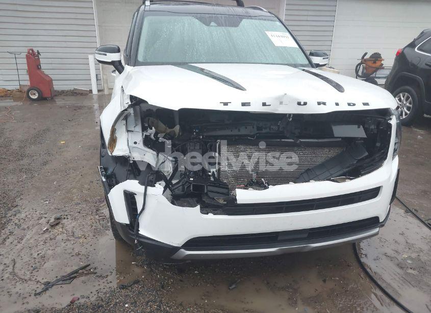 Photo 6 of 2020 Kia Telluride EX (VIN 5XYP3DHC2LG039778)