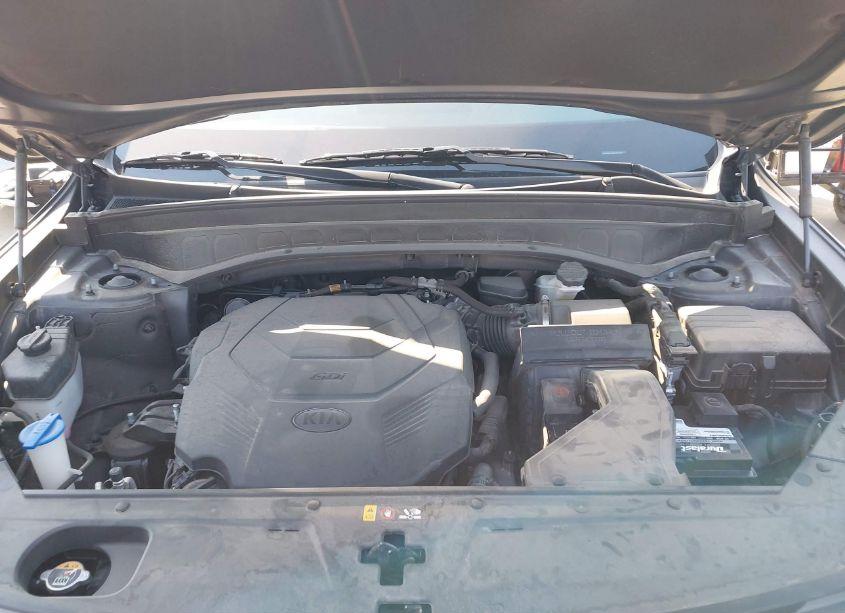 Photo 10 of 2021 Kia Telluride EX (VIN 5XYP3DHC2MG191416)