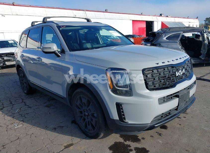 2022 Kia Telluride EX (VIN 5XYP3DHC2NG274491) main photo